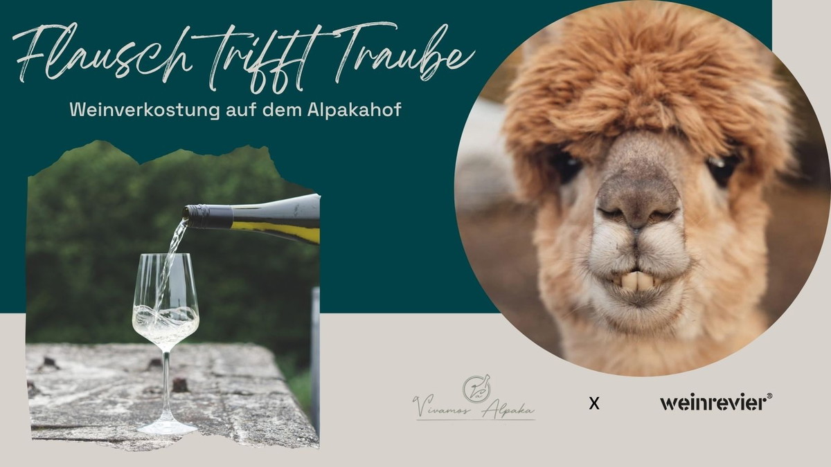 Titelbild der Veranstaltung Flausch trifft Traube - Weinverkostung auf dem Alpakahof
