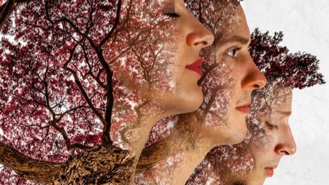 Heirs to the Wild | Poetic Indie, Soul, Jazz, Pop