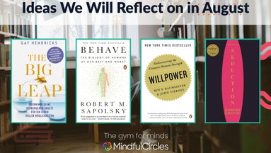 Startups Support & Mind Clarity Group | Week's Topic: Willpower + Reflections & Meditations