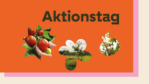 Urban Garden - Aktionstag 🌱🥦