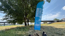 Cleanup Duisburg Beeckerwerth