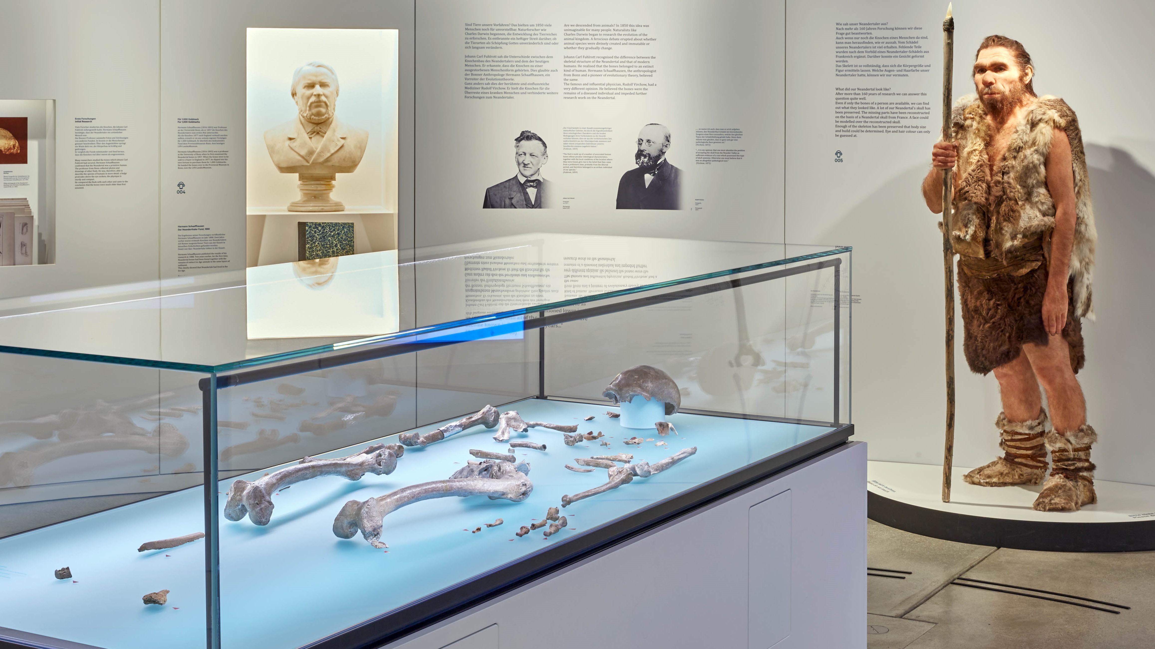 Führung: Geheimnis Neandertaler