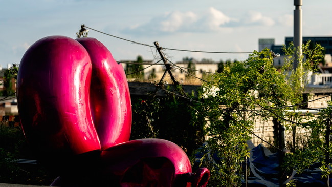 MONDAY ROAST  w. Dorsch