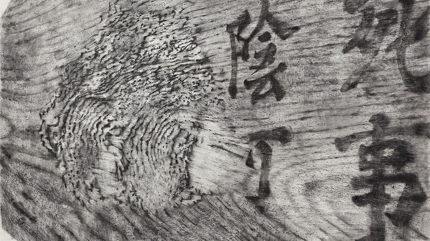 Rhizome