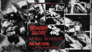 Tourabschlusskonzert Blossom Decay / Moral Bombing + riot but cute.