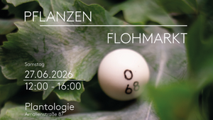 Pflanzenflohmarkt und Pflanzenbingo in der Maxvorstadt