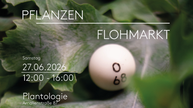 Pflanzenflohmarkt und Pflanzenbingo in der Maxvorstadt