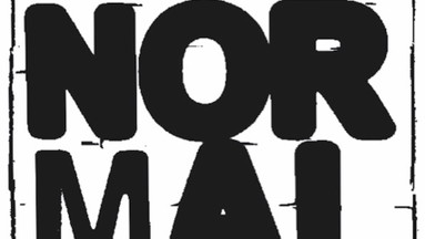 Normal - Eine Besichtigung des Wahns