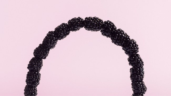 Round Table Alte Musik – Klassismus, Alte Musik und ihre soziale Dimension | zamus: early music festival 2026