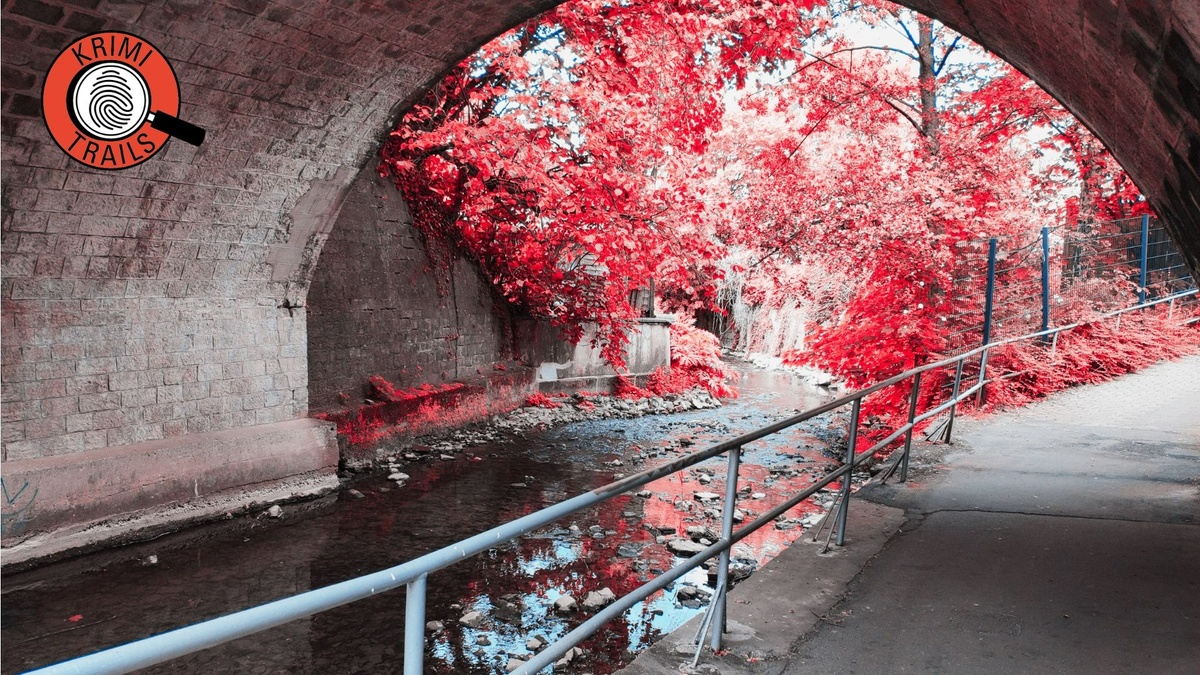 Krimi\u002DTrail Detmold