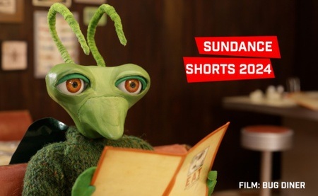 Shorts Attack - Kurze greifen an! Sundance Shorts 2024