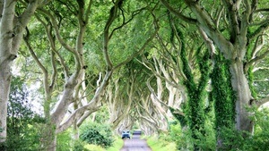 Lück aus 49 – Das große Reise-Lotto. Seit 30 Jahren im Bulli durch Europa