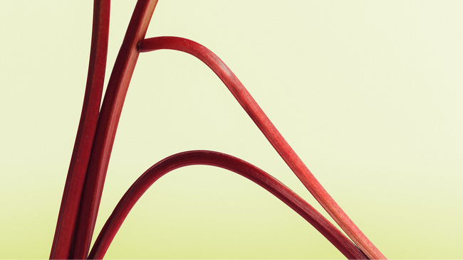 Echoes of Heritage – Von uralten geistlichen Gesängen bis zu zeitgenössischen Liedern | zamus: early music festival 2026