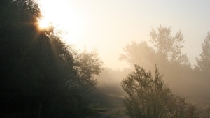 Wie der Rabe das Licht brachte - Winterlicher Geschichten-Nachmittag