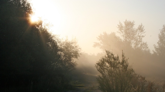 Wie der Rabe das Licht brachte - Winterlicher Geschichten-Nachmittag