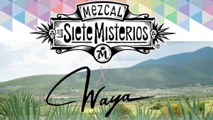 Mezcal & Tacos