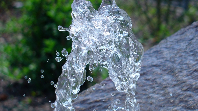 Nature Beats Everything