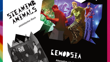"Steaming Animals" & "Kenopsia" - Konzert im RegenbogenKino