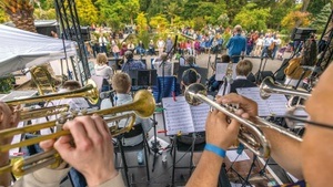 SommerTagTraum im Dortmunder Rombergpark: Musik, Tanz, Schauspiel - umsonst und draußen
