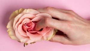 VIVA LA VULVA - Workshop am 1.3.26