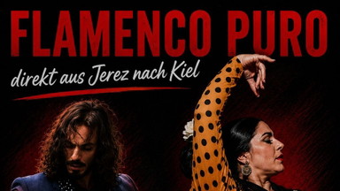 Flamenco Puro