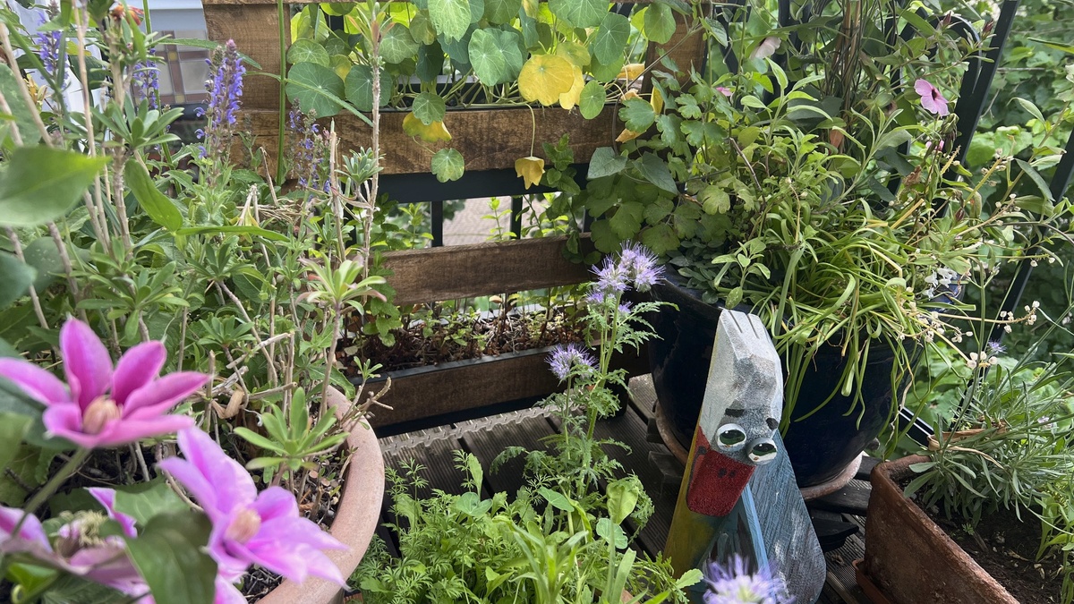 Mein Balkongarten