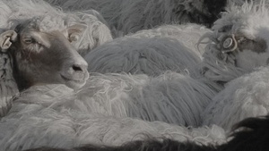 albania. hopeful horizons & burdened lands