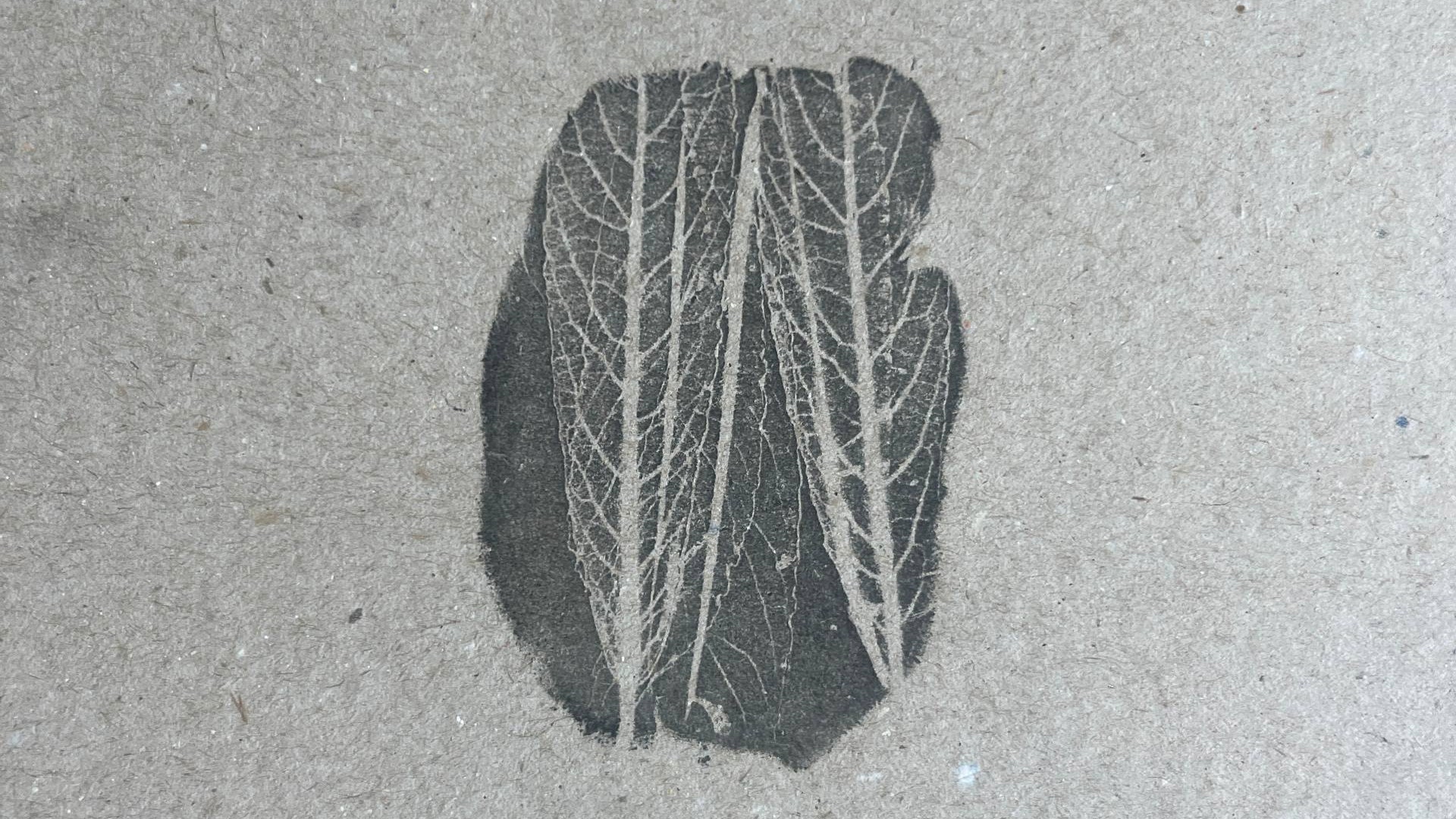 Kreativ-Workshop: Naturstrukturen entdecken & gestalten