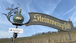 Informationspavillon Würzburger Stein, Mittlerer Steinbergweg