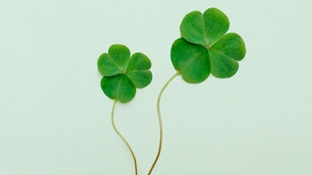 Irish Dancing für alle