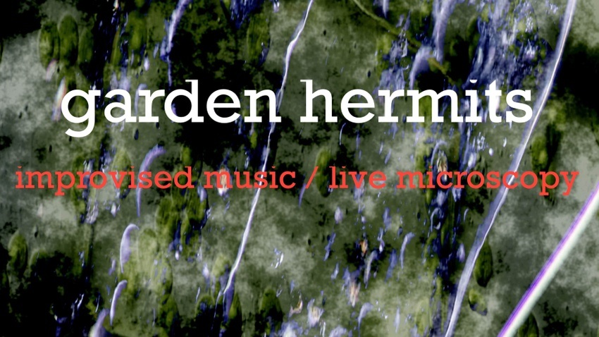garden hermits: Rocco Romano x Jan Krause