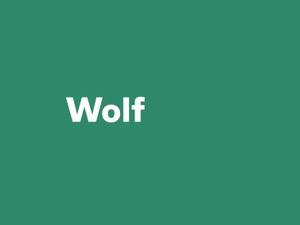 Wolf