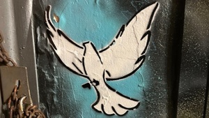 Tauben raus aus dem Weltweihnachtscircus!