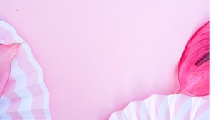 Bauchgefühl: Frauenpower im Darm