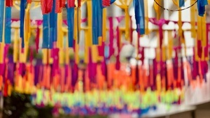 Made in Stuttgart - das interkulturelle Festival