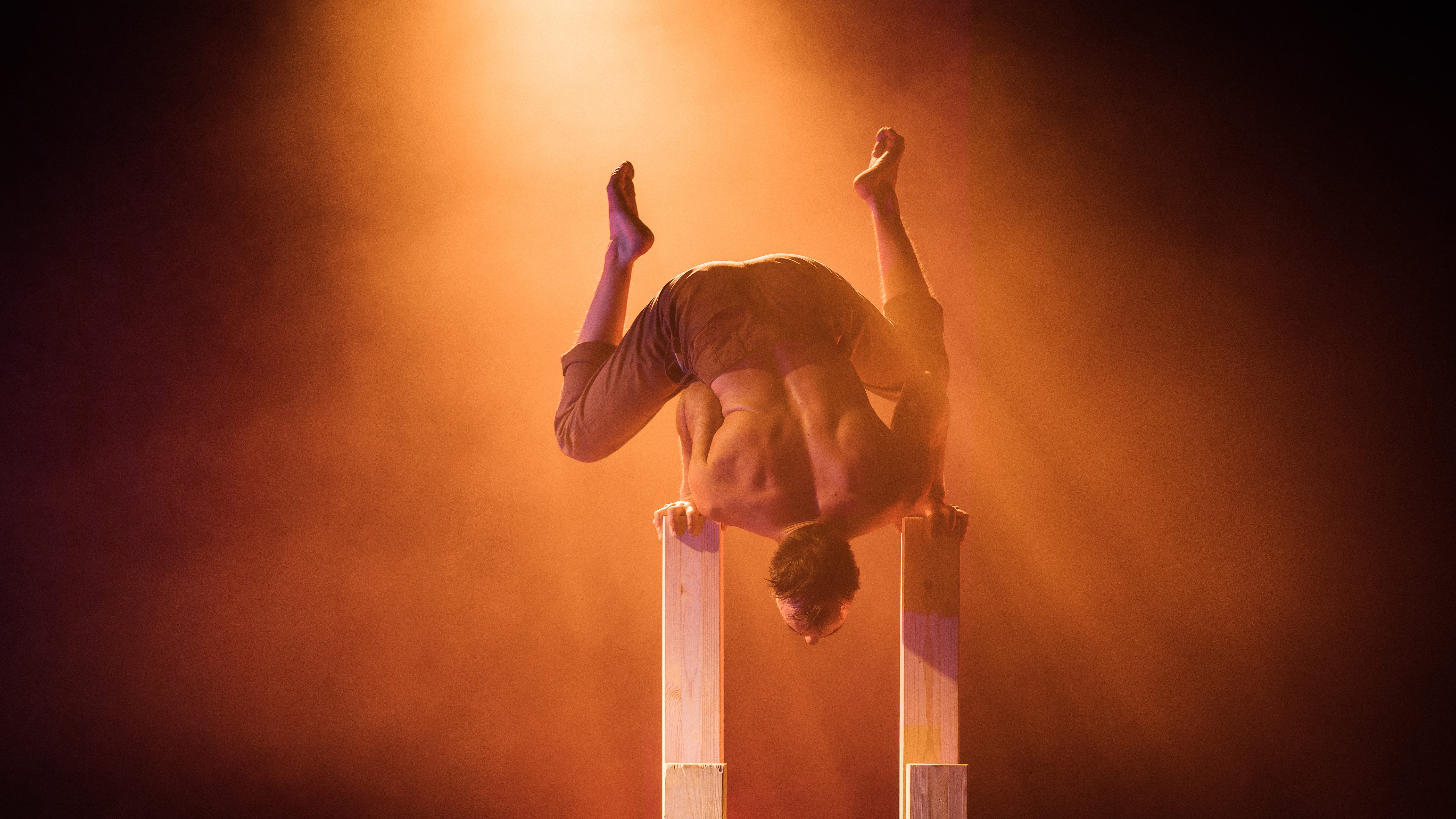 Florian Zumkehr: WILT AND SHINE