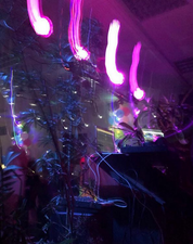 Ponyclub Party mit DJ adahsoe & Stabila
