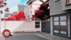 Krimi-Trail Bamberg Weegmannufer