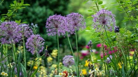 GardenLife