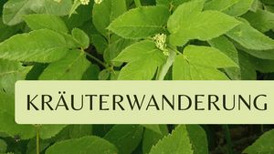 Kräuterwanderung Zeisigwald