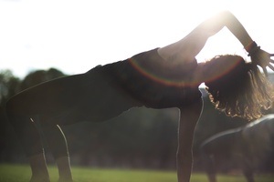 Animal Flow Training