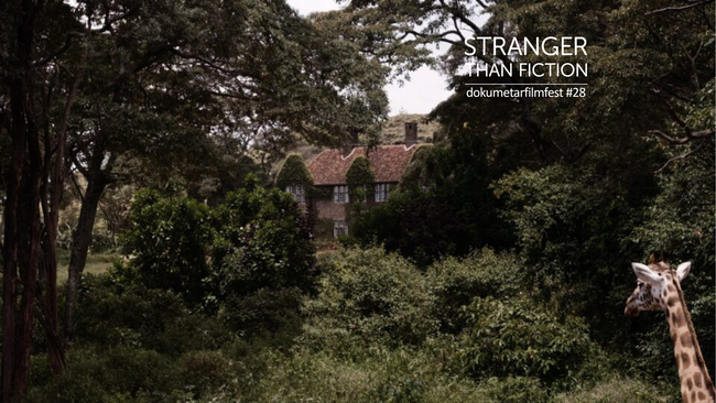 Sr - Die Giraffe | Stranger Than Fiction