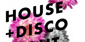 theBasement Discos House & Disco Night