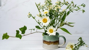 Ikebana - sehen mit anderen Augen