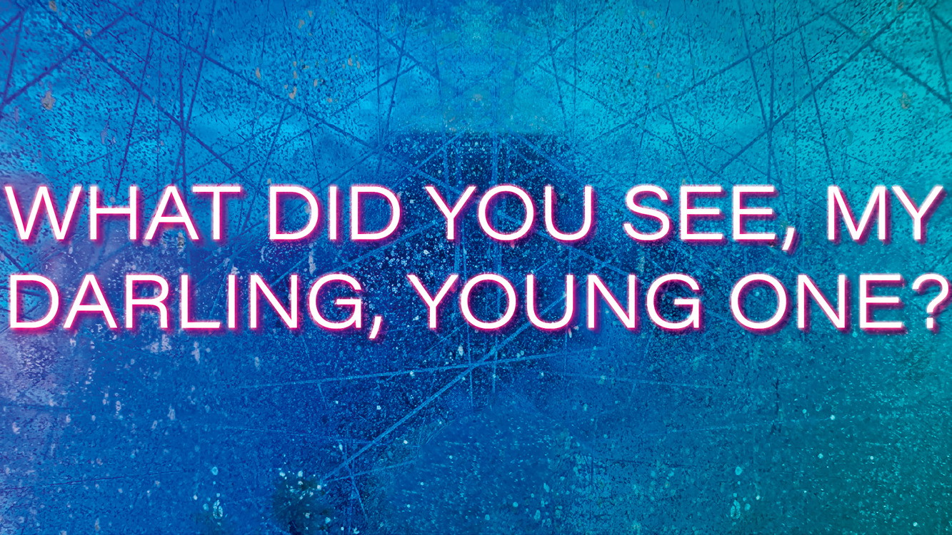 WHAT DID YOU SEE, MY DARLING, YOUNG ONE?