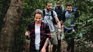 Ausflug in die Natur: TEAM WANDERN