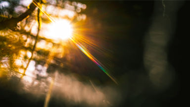 Soak up the summer before fall arrives: Event tips with summer vibes in Münster