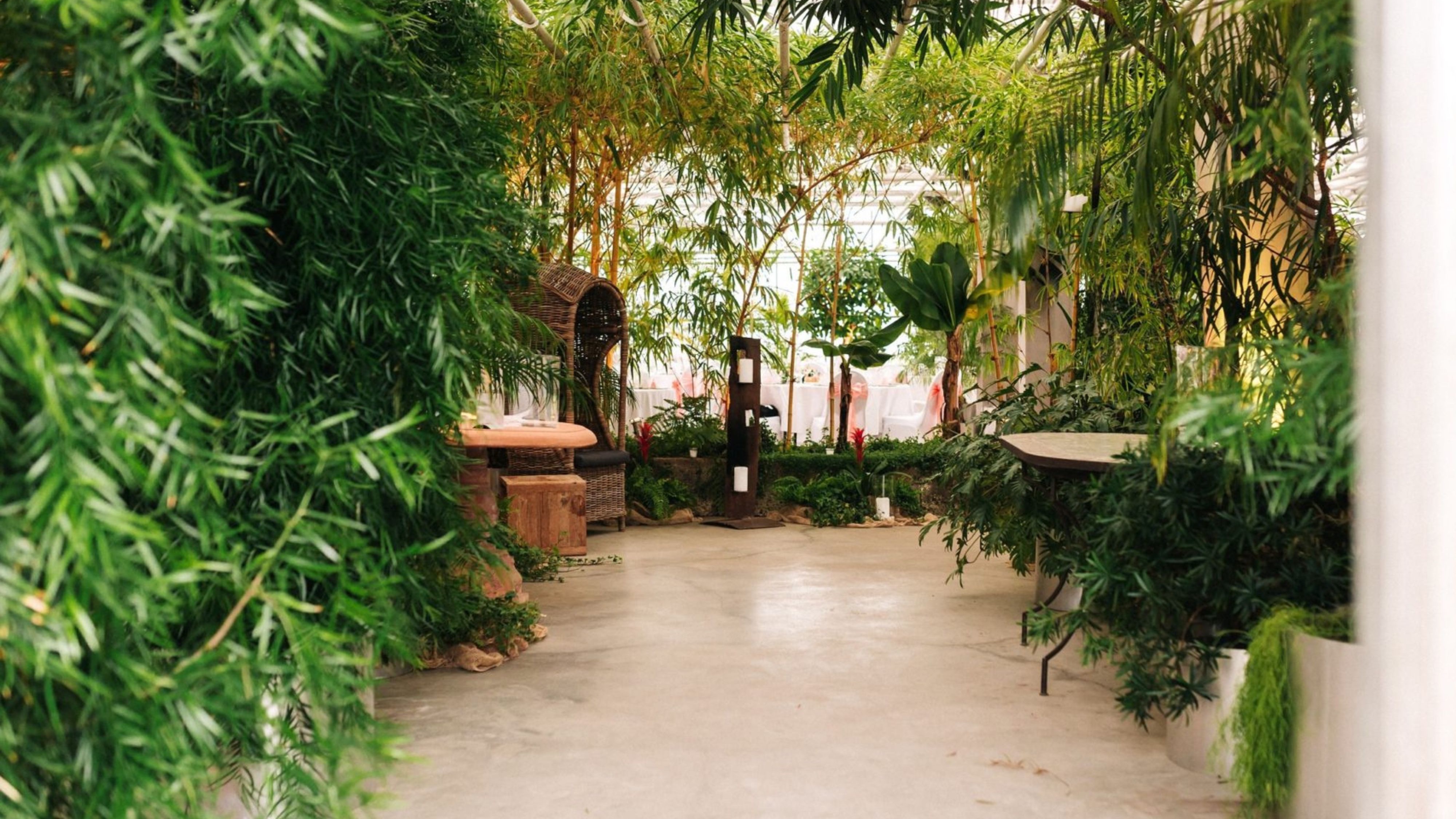 Yoga & Pilates @Greenhouse Elsäßer