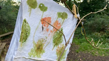 Waldzeit köln Naturerlebniszeit für Familien