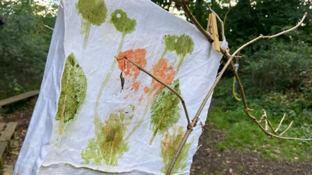 Waldzeit köln Naturerlebniszeit für Familien